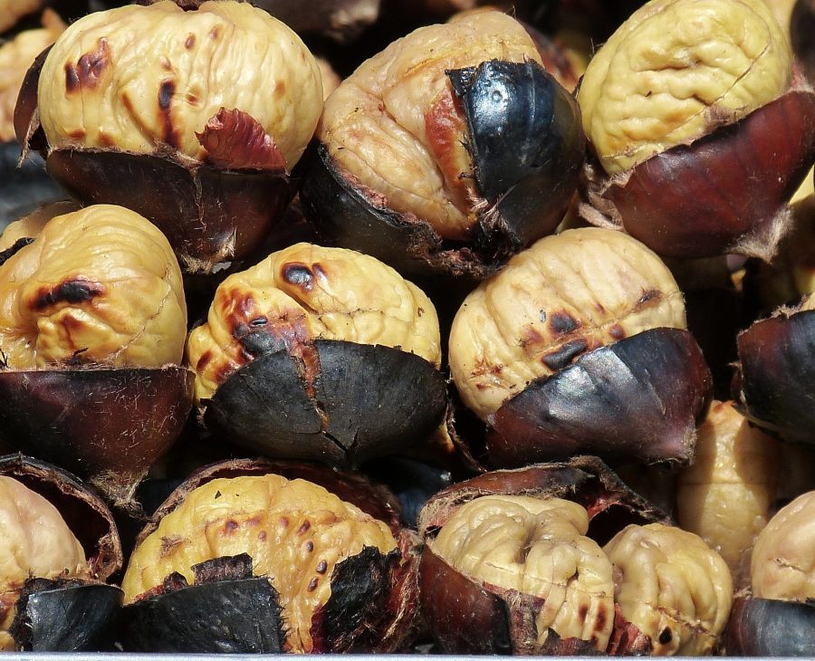 chestnuts-789518_1920-900×730